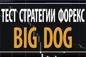 Торговая стратегия Big Dog для Forex